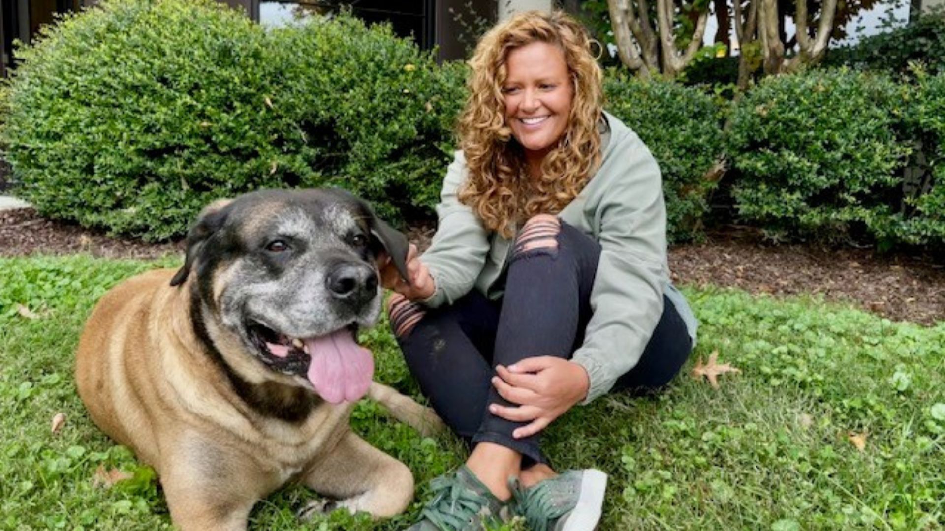 Jill Rainford sits on a patch of grass with an English Mastiff named Samson, who is laying down.
